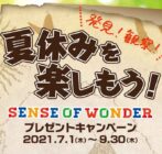 【夏休みを楽しもう! プレゼントキャンペーン】顕微鏡・双眼鏡を買って豪華賞品を当てよう イメージ